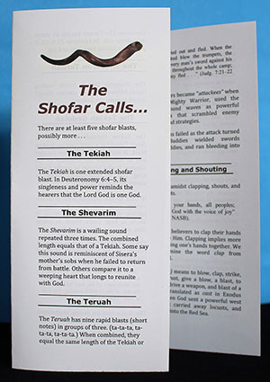 The Shofar Calls