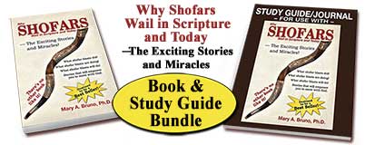 Why Shofars Wail Book & Study Guide Bundle