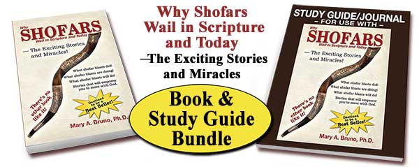 Why Shofars Wail Book & Study Guide Bundle