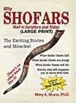 Large Print Why Shofars Wail