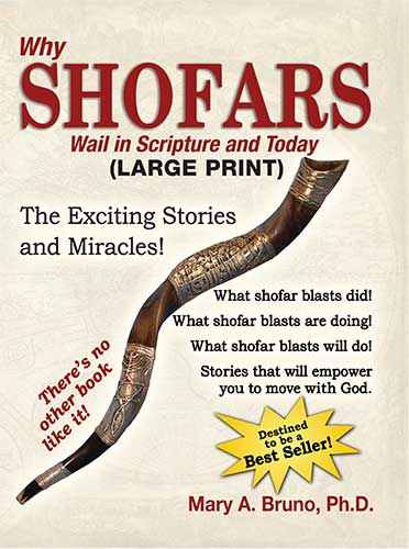 Large Print Why Shofars Wail